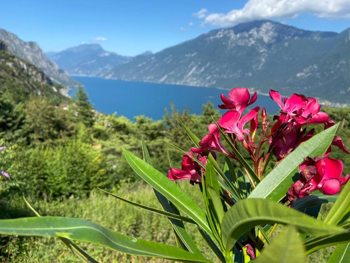 Un Balcone Sul Garda Apartment Tremosine Exterior photo